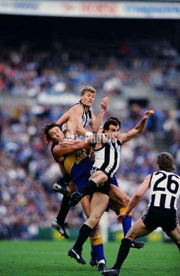 AFL 1991 - West Coast v Collingwood - 28572