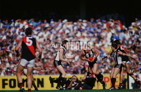 AFL 1990 Grand Final - Collingwood v Essendon - 28582
