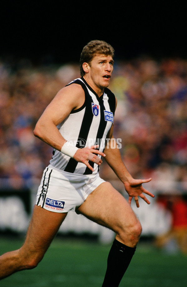 AFL 1994 Round 12 - Collingwood v Richmond - 28682