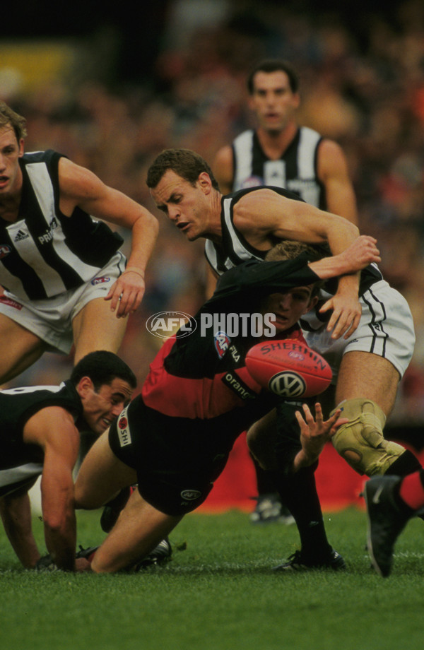 AFL 2001 Round 5 - Essendon v Collingwood - 28689