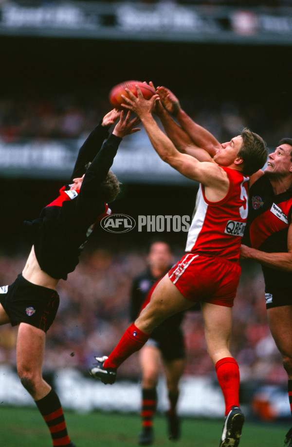 AFL 1996 Round 21 - Sydney v Essendon - 28967