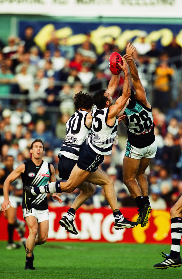 AFL 2001 Round 5 - Geelong v Port Adelaide - 29312