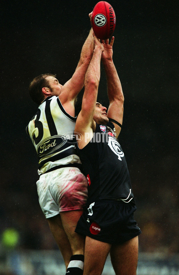 AFL 2001 Round 22 - Carlton v Geelong - 29346
