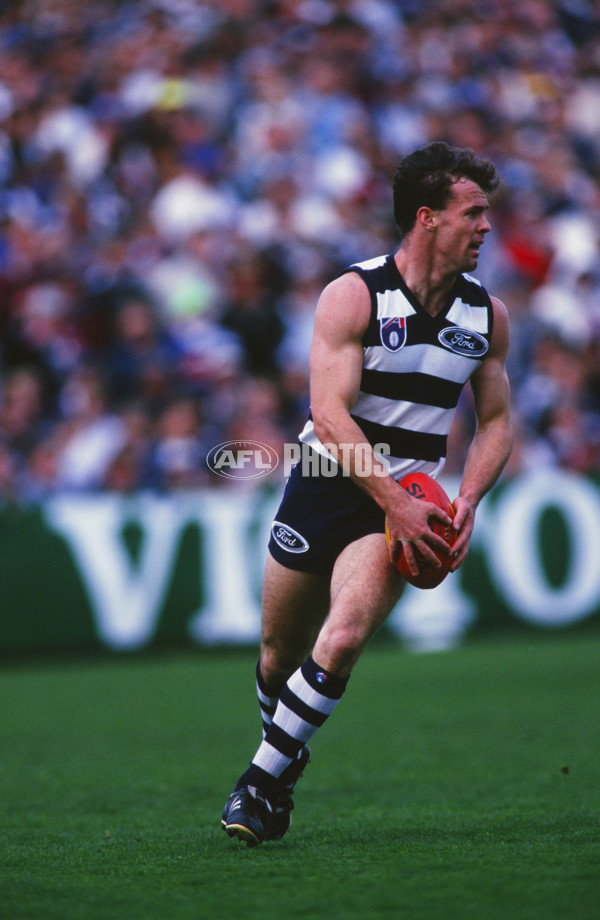 AFL 1995 Round 21 - Footscray v Geelong - 29402