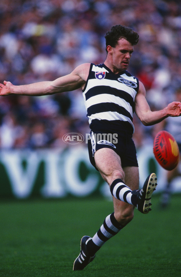 AFL 1995 Round 21 - Footscray v Geelong - 29397