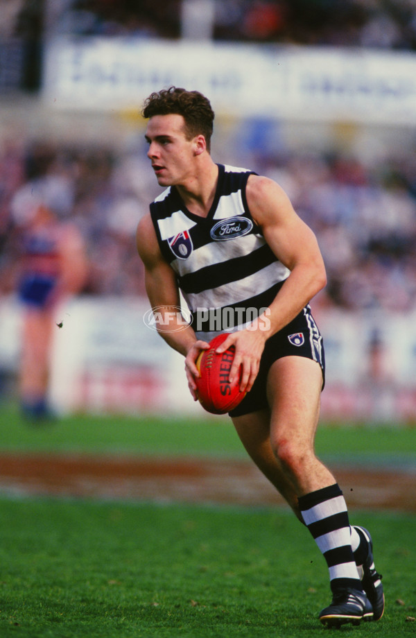 AFL 1995 Round 21 - Footscray v Geelong - 29466