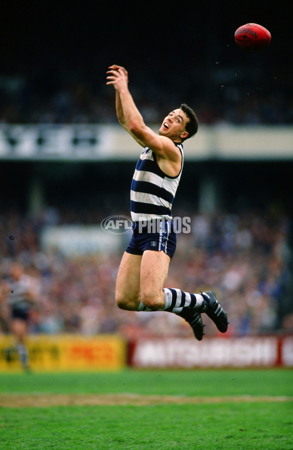 VFL 1987 - Geelong Cats - 29452