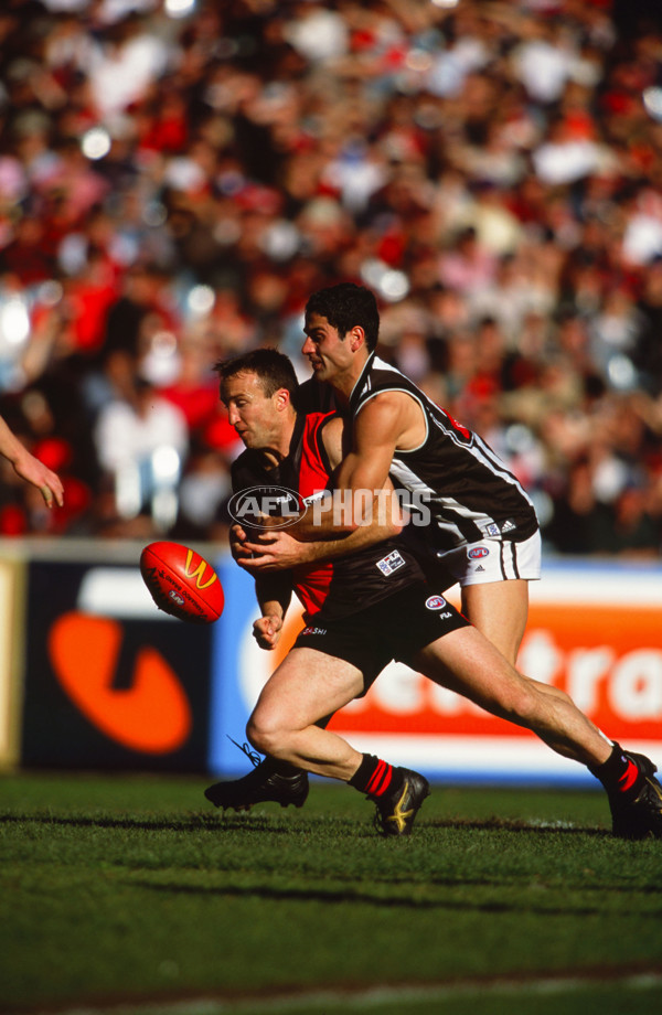 AFL 2000 Round 22 - Collingwood v Essendon - 29568