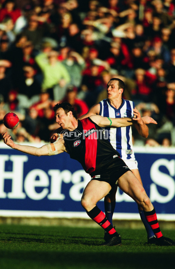 AFL 2001 Rd 16 - Essendon v Kangaroos - 29701