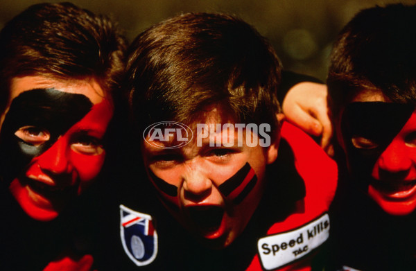 AFL 2000 Grand Final - Essendon v Melbourne - 29809