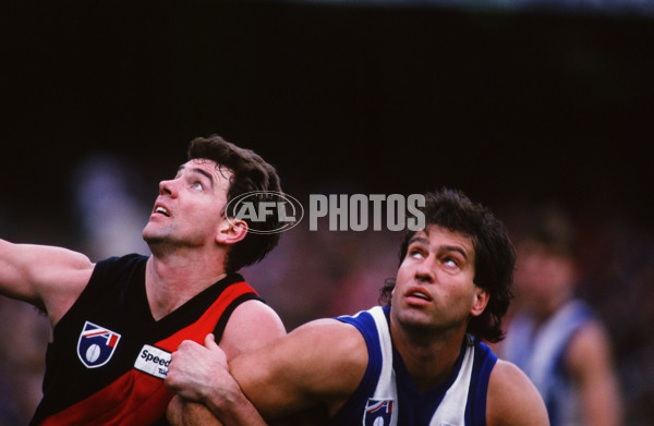 AFL 1994 Round 15 - Essendon v North Melbourne - 29902