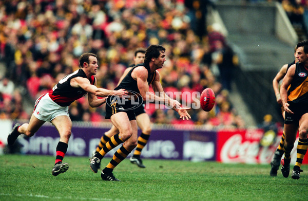 AFL 2000 Round 17 - Richmond v Essendon - 30081