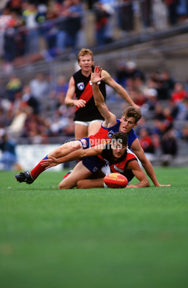 AFL 1995 Round 1 - Essendon v Fitzroy - 29955