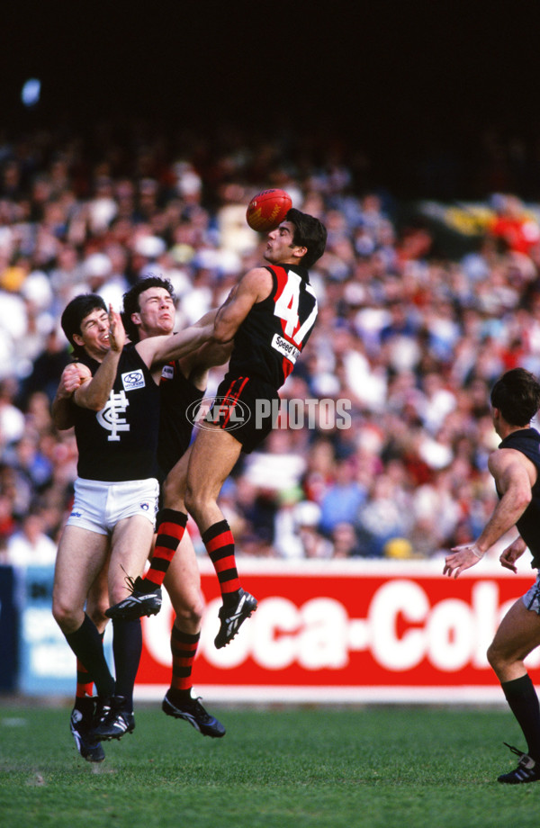 AFL 1995 Round 22 - Carlton v Essendon - 29960