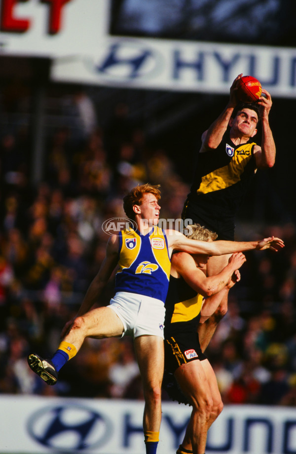AFL 1995 Round 15 - Richmond v West Coast - 30158