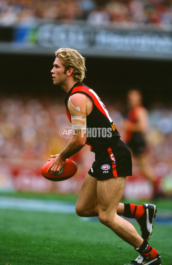 AFL 2001 1st Preliminary Final - Essendon v Hawthorn - 30283
