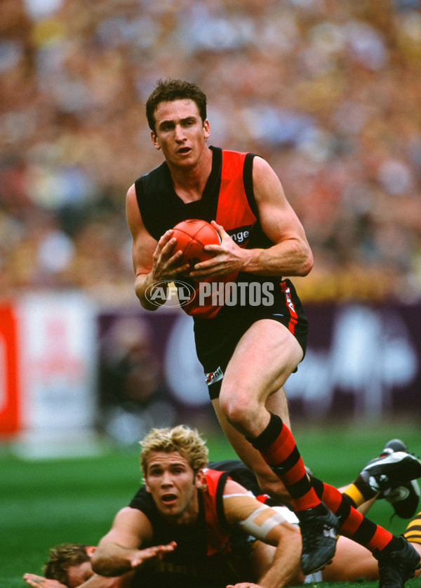 AFL 2001 1st Preliminary Final - Essendon v Hawthorn - 30329