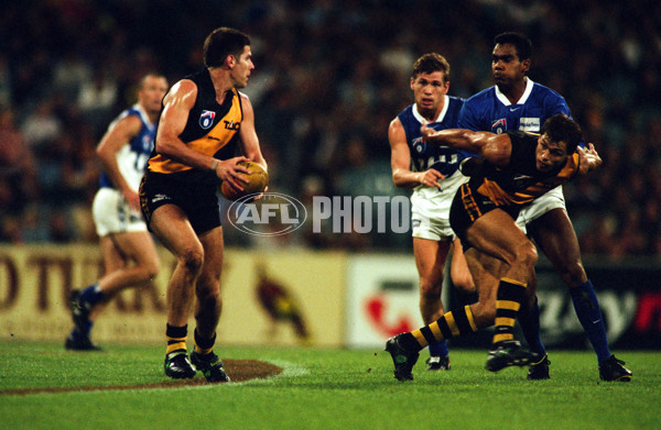AFL 1999 Round 3 - Kangaroos v Richmond - 30446
