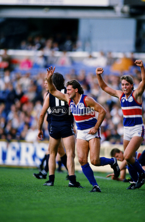 AFL 1991 - Footscray v Carlton - 30726