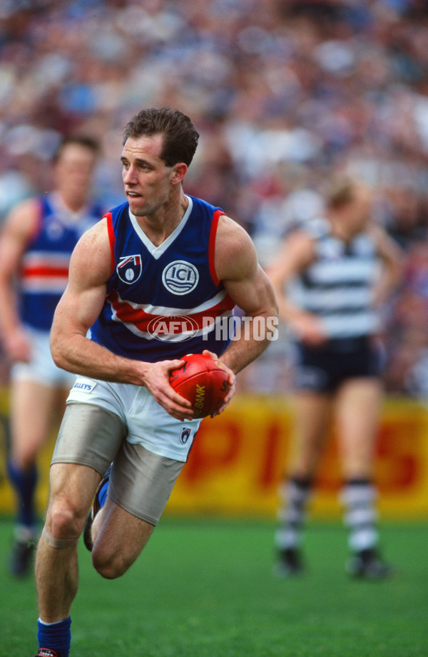 AFL 1995 Round 21 - Footscray v Geelong - 30799