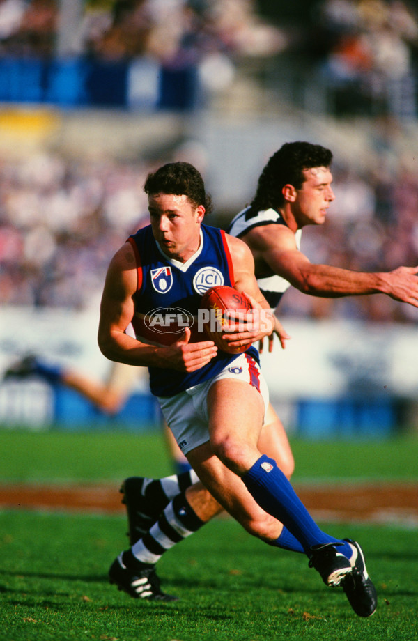 AFL 1995 Round 21 - Footscray v Geelong - 30810