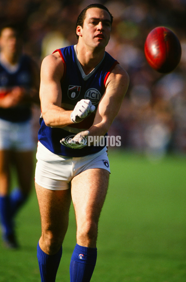 AFL 1992 Round 14 - Footscray - 30839