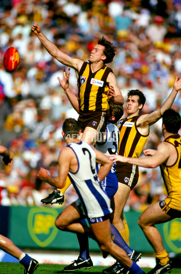 AFL Draft Gallery - Alex McDonald - 353725