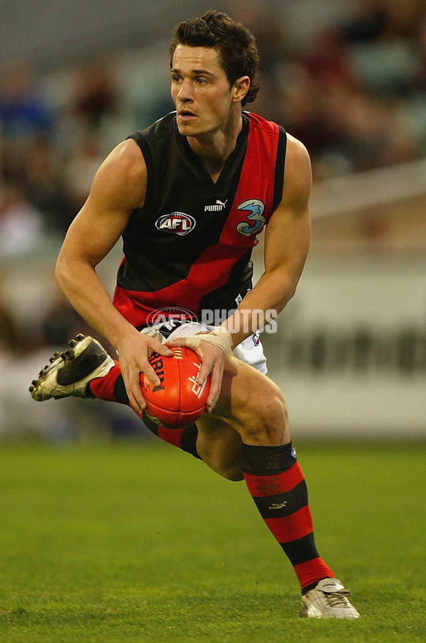 AFL 2004 Rd 15 - Richmond v Essendon - 65287
