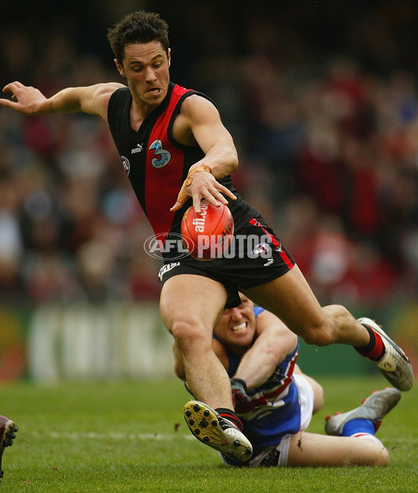 AFL 2004 Rd 22 - Essendon v Western Bulldogs - 65478