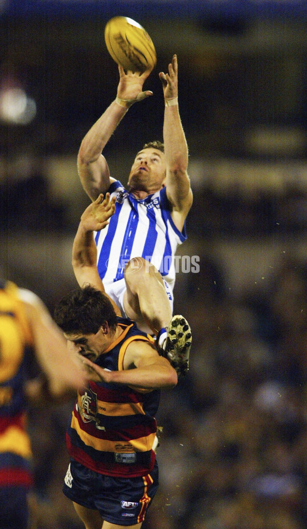 AFL 2004 Rd 18 -  Adelaide Crows v Kangaroos - A-38131407