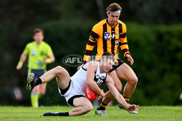 VFL 2023 Round 09 - Box Hill v Southport - A-38240129