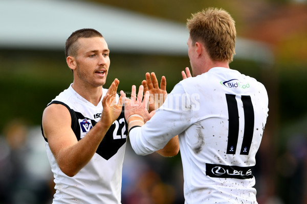 VFL 2023 Round 09 - Box Hill v Southport - A-38241468