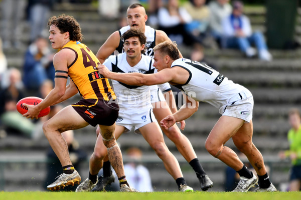 VFL 2023 Round 09 - Box Hill v Southport - A-38243891