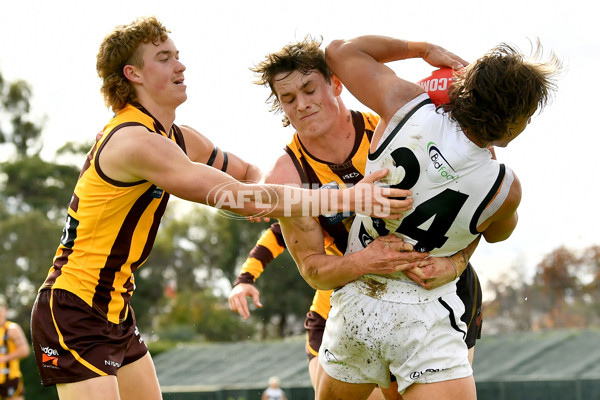 VFL 2023 Round 09 - Box Hill v Southport - A-38244387