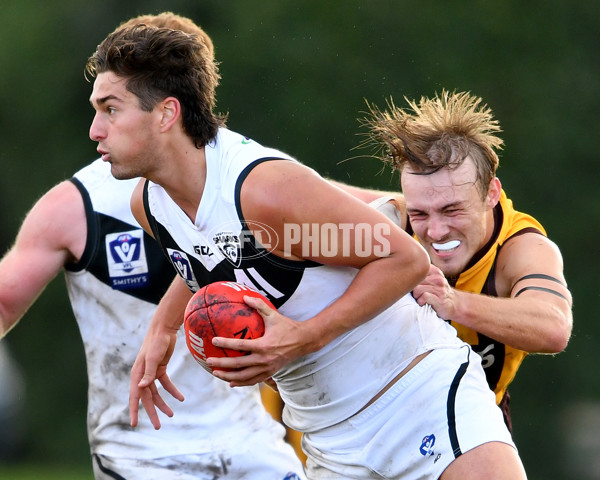 VFL 2023 Round 09 - Box Hill v Southport - A-38247476
