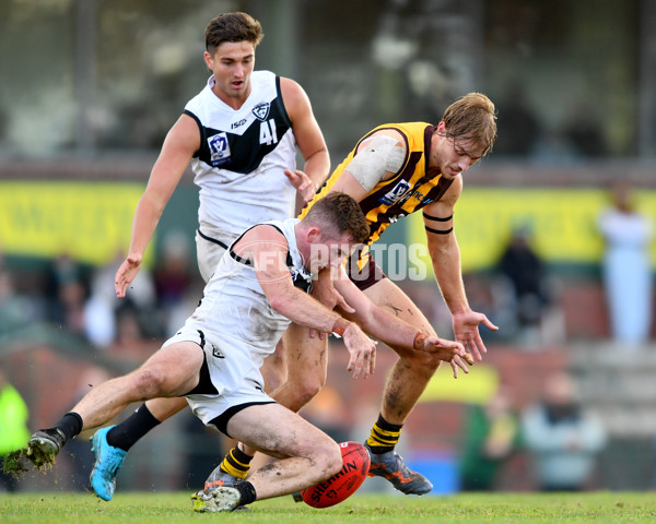 VFL 2023 Round 09 - Box Hill v Southport - A-38248896