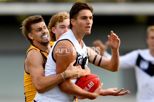 VFL 2023 Round 09 - Box Hill v Southport - A-38250636