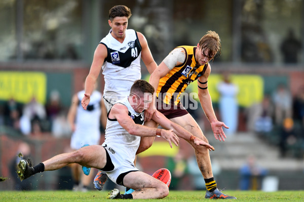 VFL 2023 Round 09 - Box Hill v Southport - A-38250638
