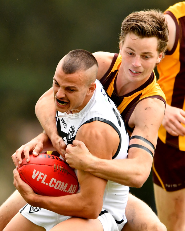 VFL 2023 Round 09 - Box Hill v Southport - A-38251436