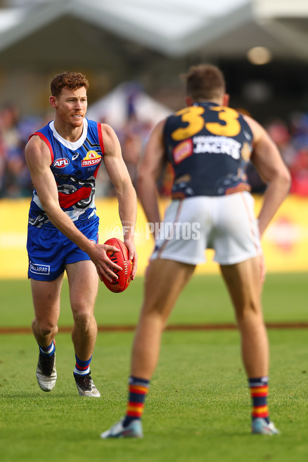 AFL 2023 Round 10 - Western Bulldogs v Adelaide - A-38253580