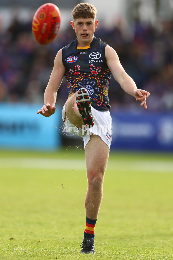 AFL 2023 Round 10 - Western Bulldogs v Adelaide - A-38254166