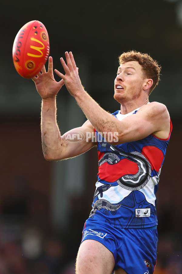 AFL 2023 Round 10 - Western Bulldogs v Adelaide - A-38259643