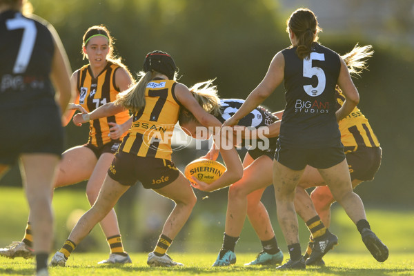 VFLW 2023 Round 09 - Box Hill v Carlton - A-38261905