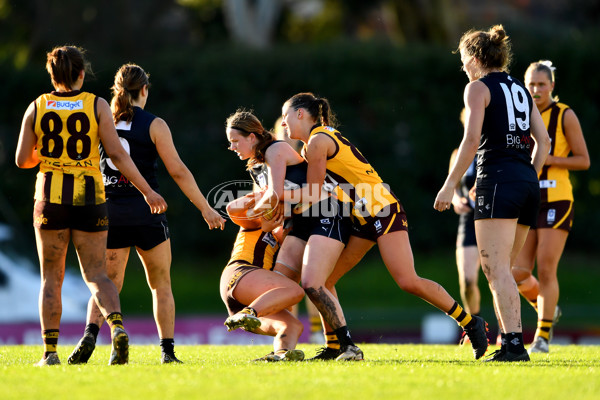 VFLW 2023 Round 09 - Box Hill v Carlton - A-38261906