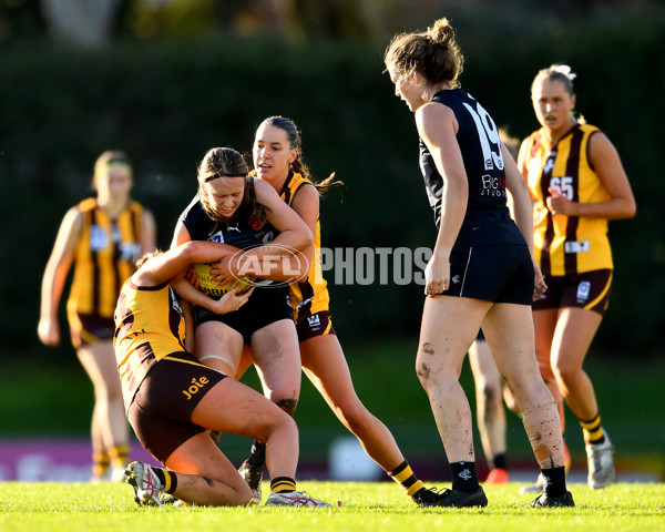 VFLW 2023 Round 09 - Box Hill v Carlton - A-38261907