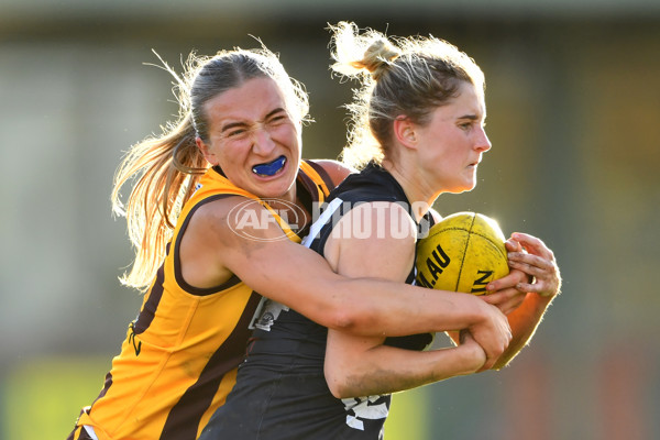 VFLW 2023 Round 09 - Box Hill v Carlton - A-38261909