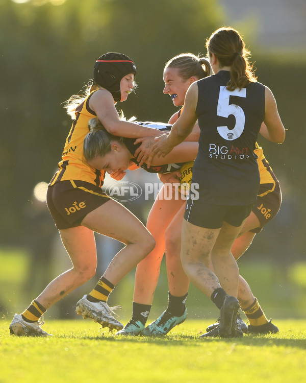 VFLW 2023 Round 09 - Box Hill v Carlton - A-38262197