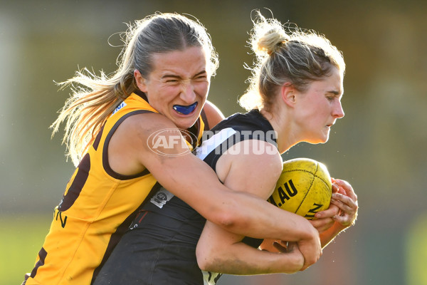 VFLW 2023 Round 09 - Box Hill v Carlton - A-38262204