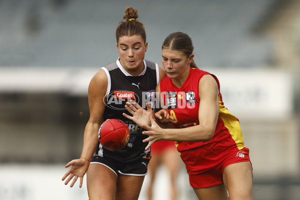 Coates Talent League Girls 2023 - GWV Rebels v Gold Coast - A-38302755