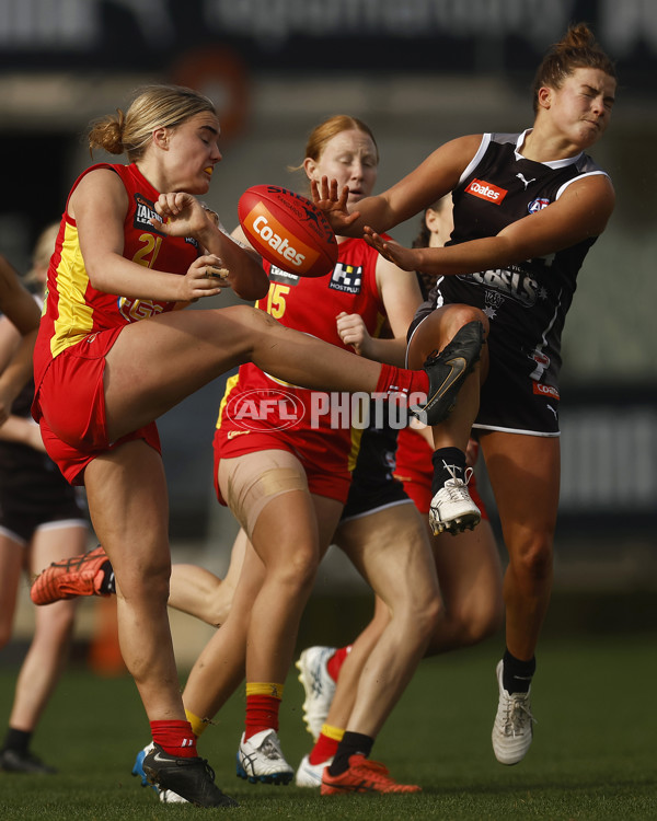 Coates Talent League Girls 2023 - GWV Rebels v Gold Coast - A-38303335